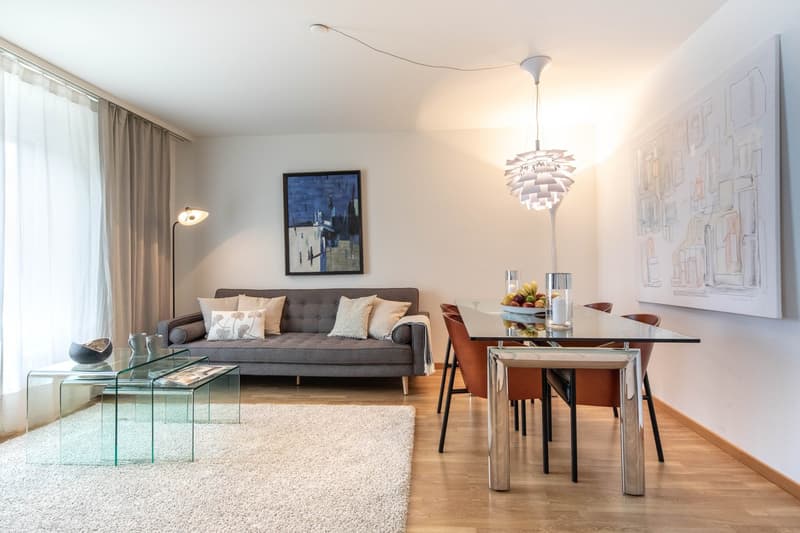 Charming Furnished 3-Room Apartment with Balcony in Zürich Wiedikon (2)