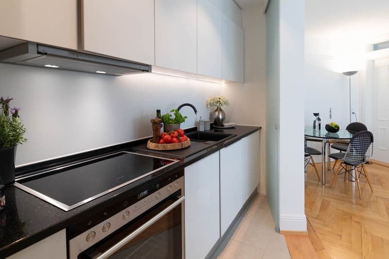 Geräumige 1-Zimmer-Wohnung mit Balkon und wöchentlicher Reinigungsservice zur Miete (3)