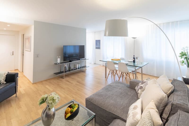 Modern Furnished 2-Room Apartment with Balcony in Zürich Wiedikon (2)