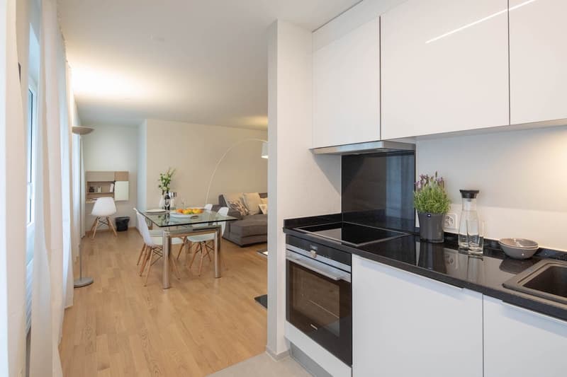 Modern Furnished 2-Room Apartment with Balcony in Zürich Wiedikon (4)