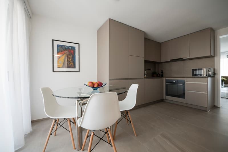 Eingerichtete 1-Zimmer-Wohnung Zürich Wiedikon – zentral, Balkon & Reinigungsservice (7)