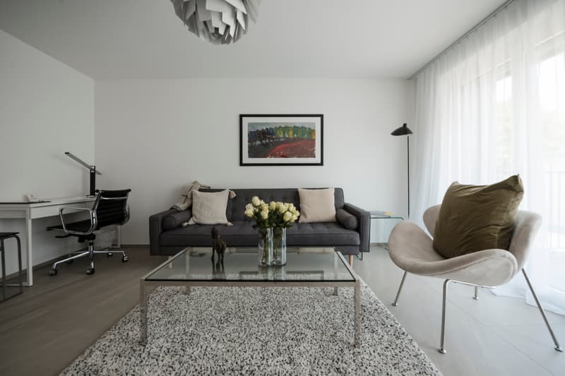 Eingerichtete 1-Zimmer-Wohnung Zürich Wiedikon – zentral, Balkon & Reinigungsservice (4)