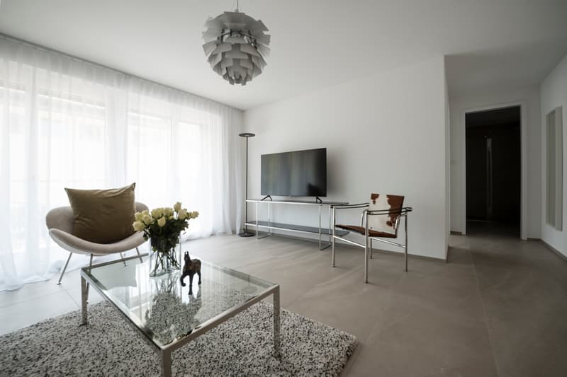 Eingerichtete 1-Zimmer-Wohnung Zürich Wiedikon – zentral, Balkon & Reinigungsservice (2)