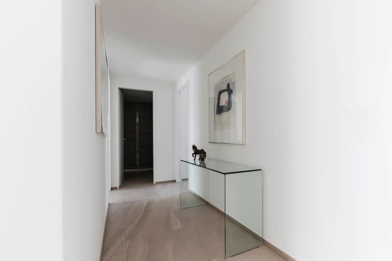 Furnished 2-Bedroom Apartment Zurich Wiedikon – central, Balcony & cleaning Servic (7)