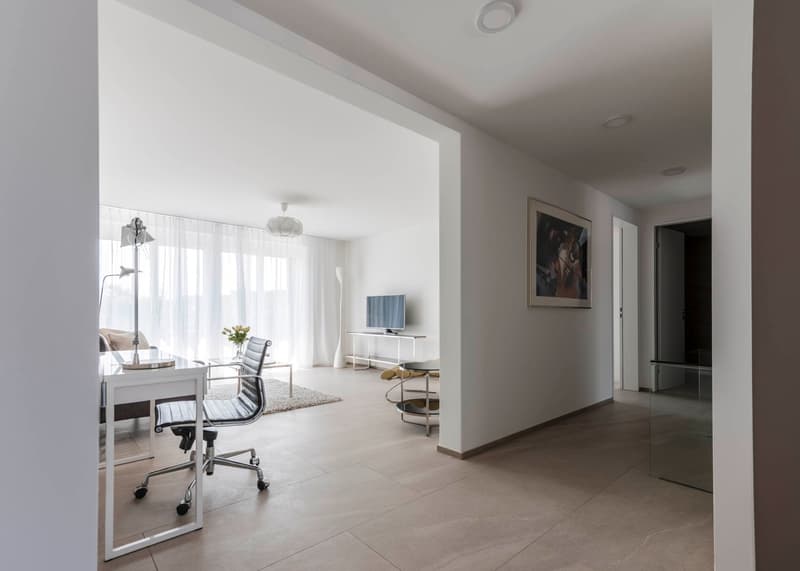 Furnished 2-Bedroom Apartment Zurich Wiedikon – central, Balcony & cleaning Servic (4)