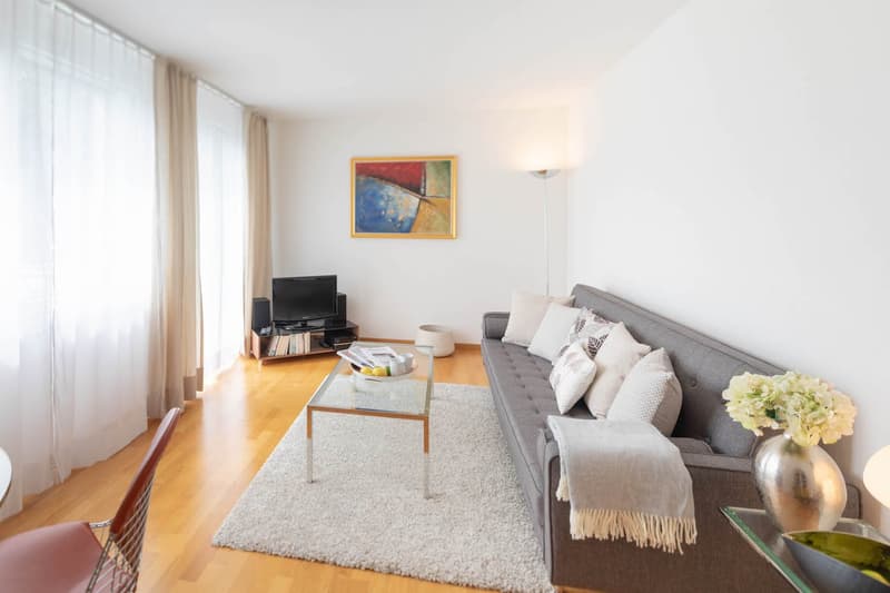 Modern Furnished 2-Room Apartment with Balcony in Zürich Wiedikon (2)