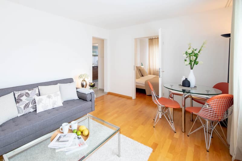 Modern Furnished 2-Room Apartment with Balcony in Zürich Wiedikon (1)
