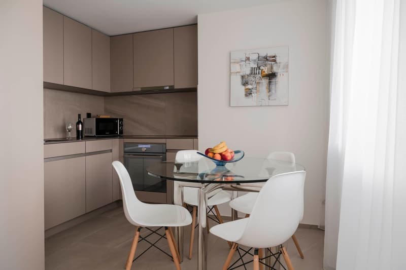 Eingerichtetes Studio-Apartment Zürich Wiedikon – zentral, Balkon & Reinigungsservice (6)
