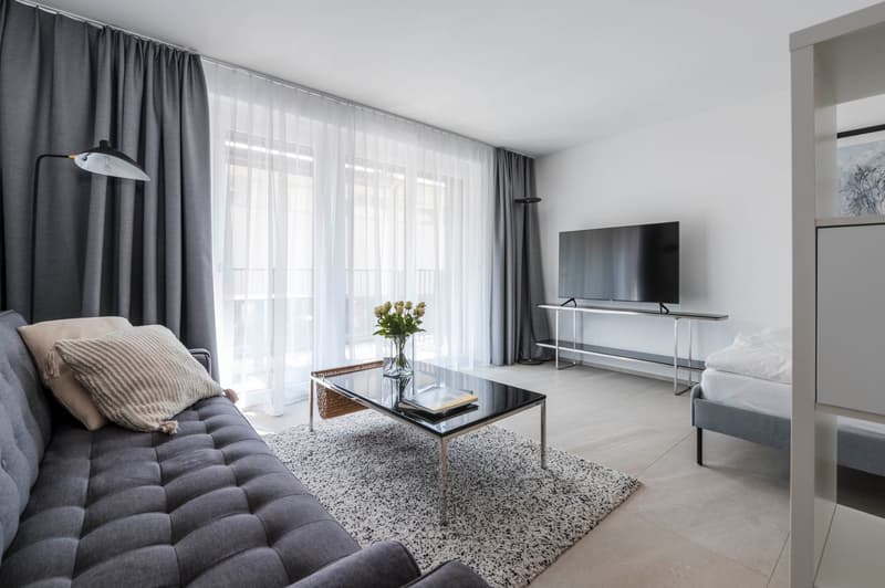 Eingerichtetes Studio-Apartment Zürich Wiedikon – zentral, Balkon & Reinigungsservice (4)