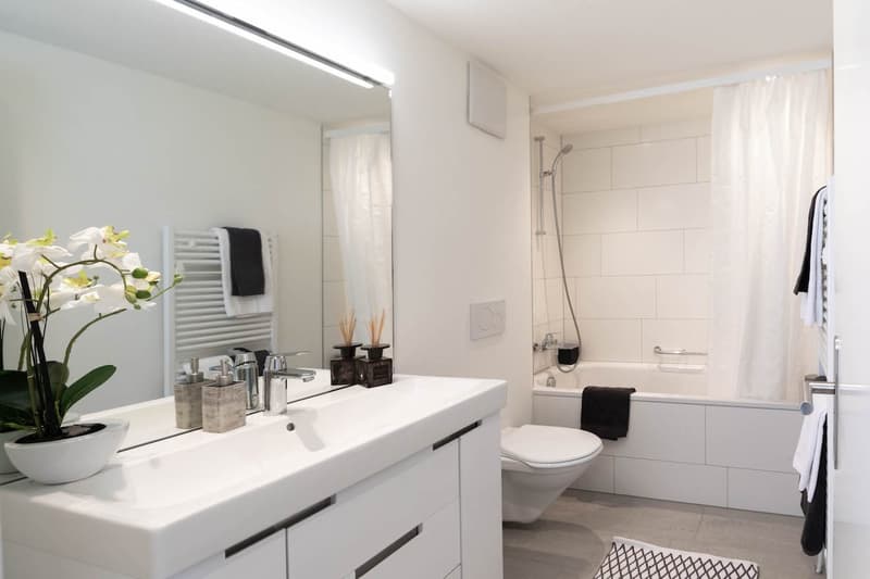 Modern Furnished 2-Room Penthouse Apartment with Balcony in Zürich Wiedikon (4)