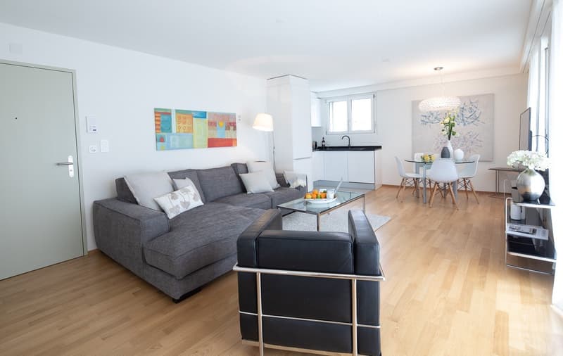 Modern Furnished 2-Room Penthouse Apartment with Balcony in Zürich Wiedikon (2)