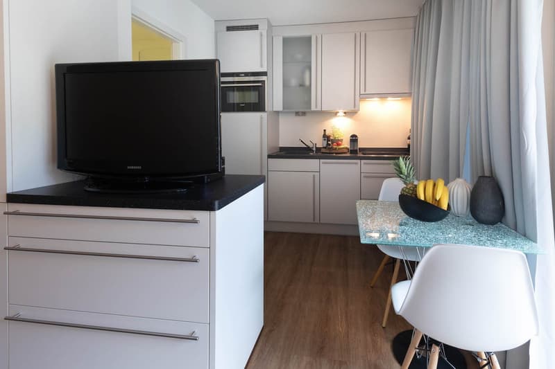 Furnished Studio Apartment in Zurich Wiedikon – Balcony, Cleaning Service (2)
