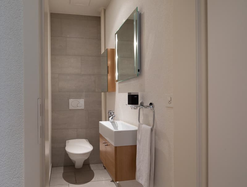 Charming Furnished 2-Room Apartment with Balcony in Zürich Wiedikon (5)