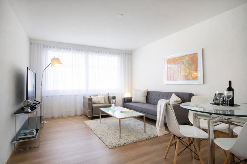 Spacious furnished 1-bedroom apartment with weekly cleaning service for rent (2)