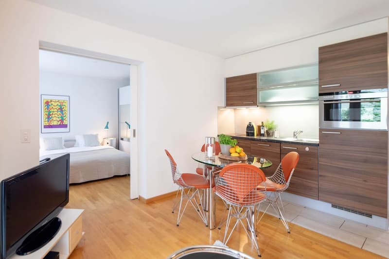 Modern Furnished 2-Room Apartment with Balcony in Zürich Wiedikon (3)