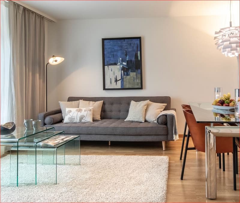 Charming Furnished 3-Room Apartment with Balcony in Zürich Wiedikon (1)