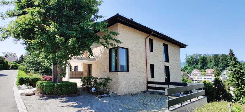 Doppelstellplatz mit Ladestation in Kilchberg zu vermieten (4)
