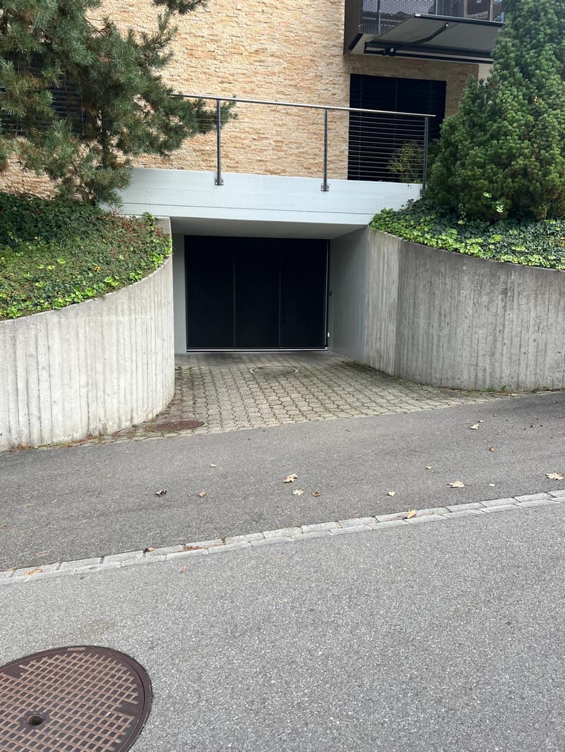 Doppelstellplatz mit Ladestation in Kilchberg zu vermieten (3)