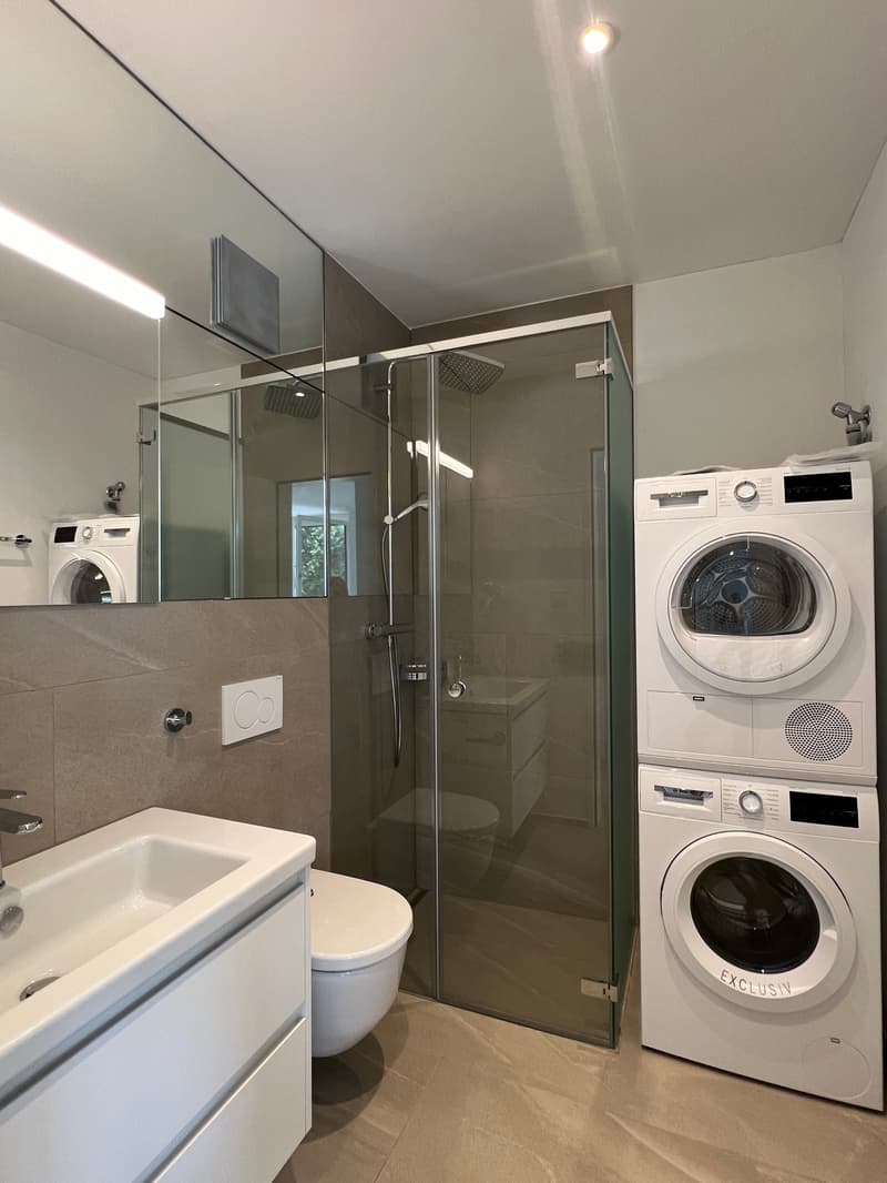 Moderne Wohnung mit grosser Terrasse an zentraler Lage (3)