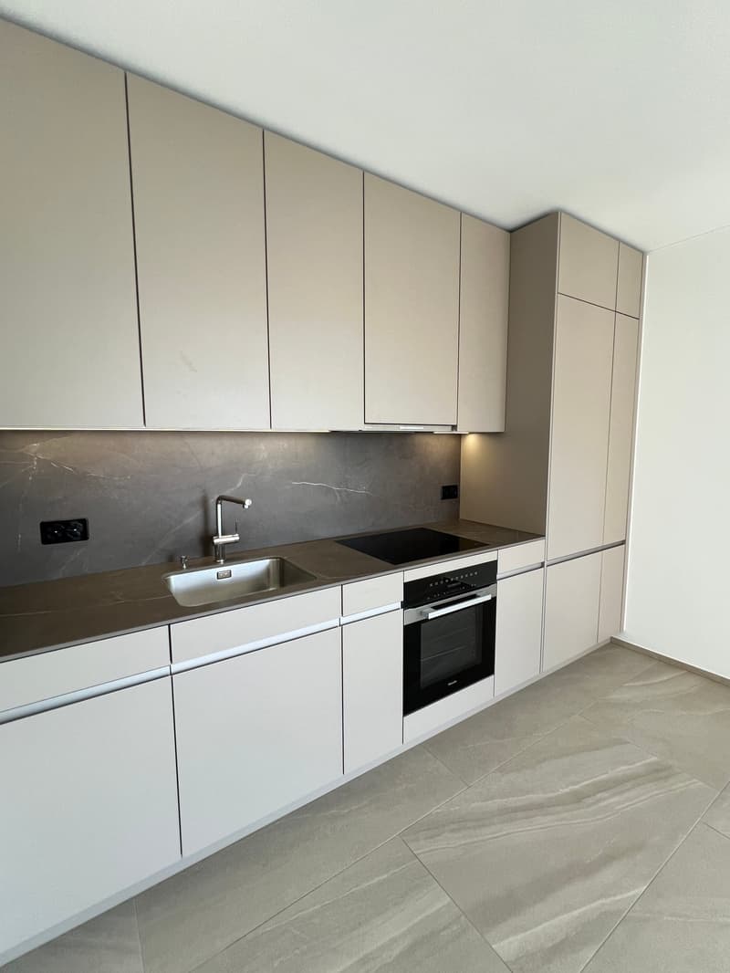 Moderne Wohnung mit grosser Terrasse an zentraler Lage (1)