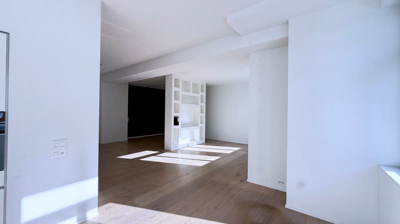 Spacious loft apartment on Badenerstrasse in Zürich-Altstetten (1)