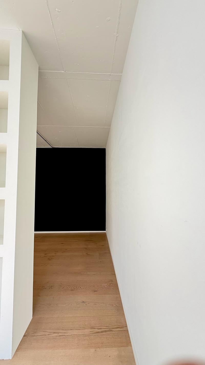 Spacious loft apartment on Badenerstrasse in Zürich-Altstetten (2)