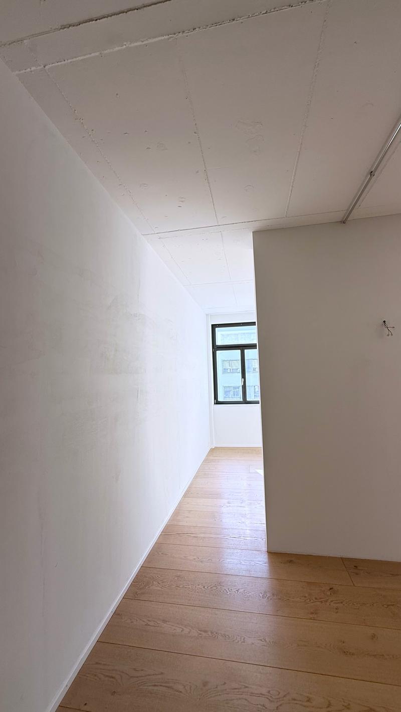 Spacious loft apartment on Badenerstrasse in Zürich-Altstetten (6)