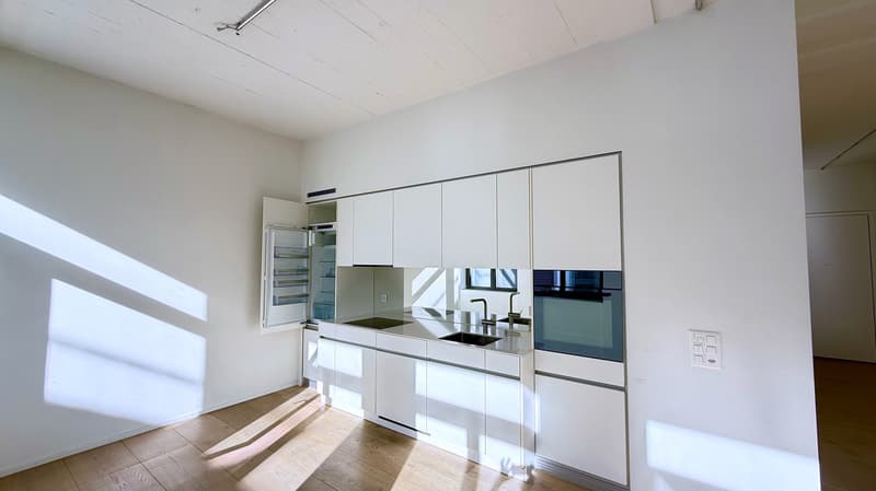 Spacious loft apartment on Badenerstrasse in Zürich-Altstetten (10)