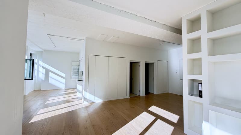 Spacious loft apartment on Badenerstrasse in Zürich-Altstetten (3)