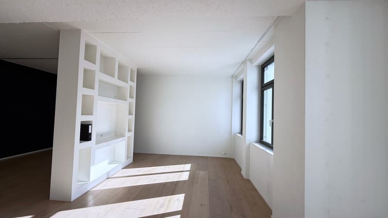Spacious loft apartment on Badenerstrasse in Zürich-Altstetten (5)