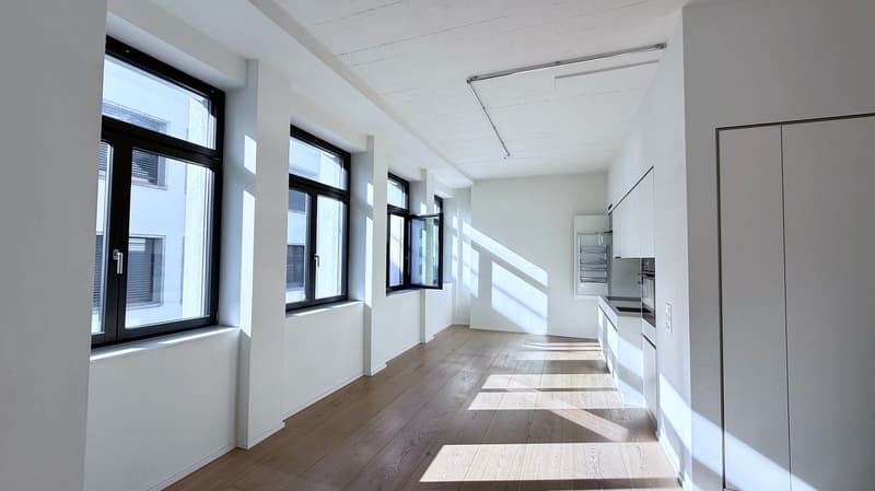 Spacious loft apartment on Badenerstrasse in Zürich-Altstetten (4)