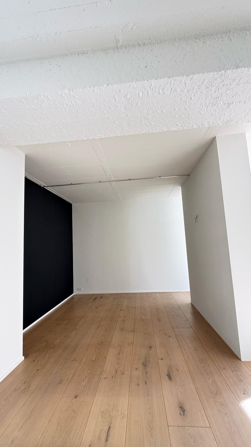 Spacious loft apartment on Badenerstrasse in Zürich-Altstetten (9)