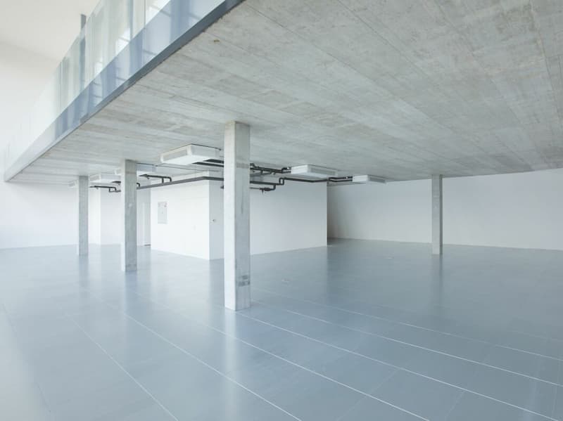Büro- und Geschäftsräume «Im Fokus» auf ca. 477 m² / Duplex (7)