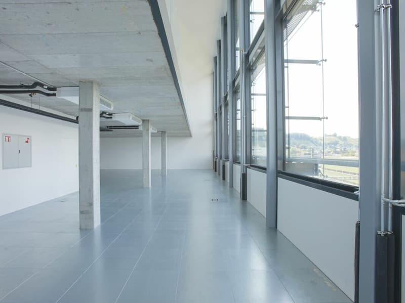 Büro- und Geschäftsräume «Im Fokus» auf ca. 477 m² / Duplex (5)