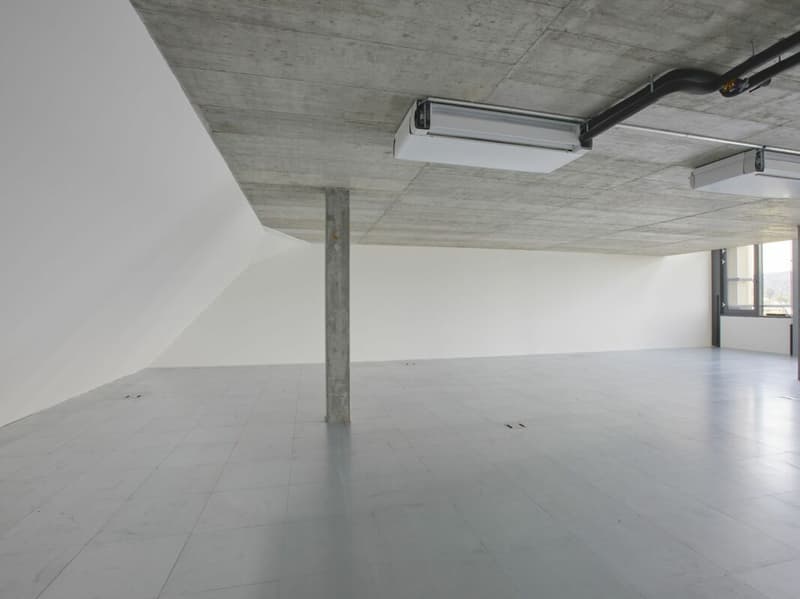 Büro- und Geschäftsräume «Im Fokus» auf ca. 477 m² / Duplex (3)