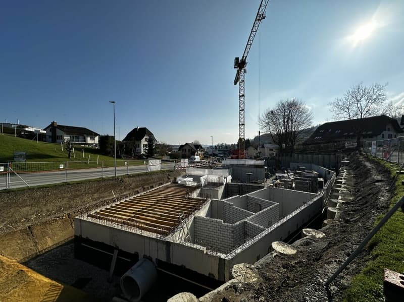 Votre propre jardin : 182 m² de verdure pure (9)