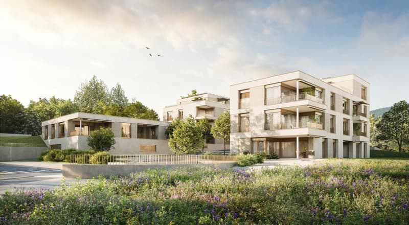 HORIZONT Küttigen - Appartamento in attico con vista spettacolare - Visita ora la costruzione grezza! (7)