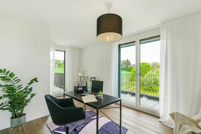 Patio Dulliken - La mia nuova casa - 85% venduto! (9)