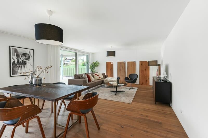 Patio Dulliken - La mia nuova casa - 85% venduto! (3)