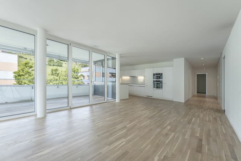 Appartement 3.5 pièces lumineux avec aménagement intérieur de haute qualité (3)