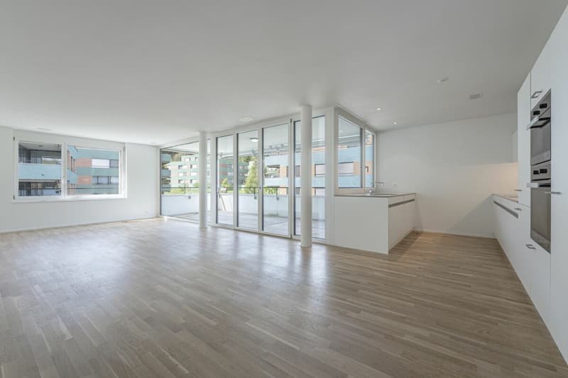 Appartement 3.5 pièces lumineux avec aménagement intérieur de haute qualité (1)