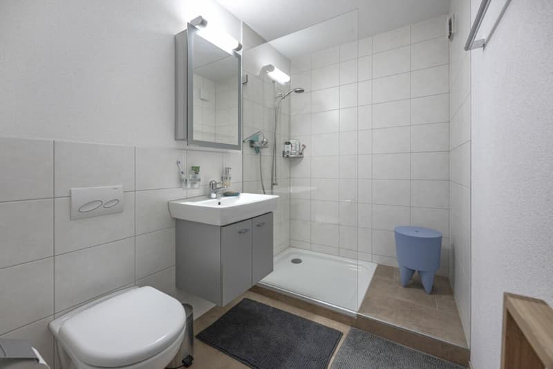 Lots of space for the whole family - in a pleasant proximity to Zurich (8)