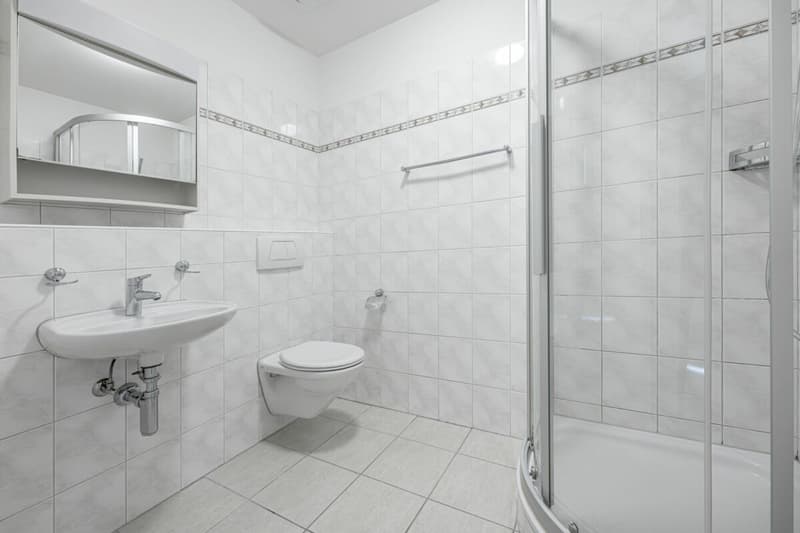 Spacious garden apartment - just a few steps from Oberrieden train station (9)