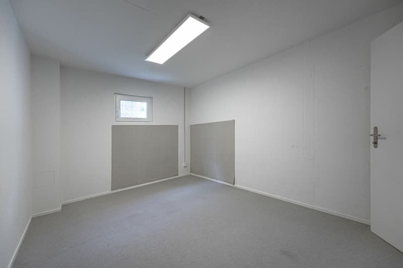 Spacious garden apartment - just a few steps from Oberrieden train station (11)