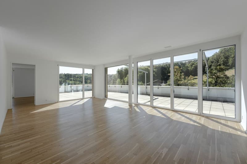 Attikawohnung mit 120 m² Terrasse und unverbautem Blick auf Wald und Weite (1)