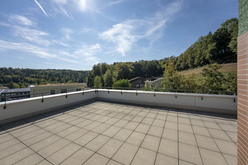 Attikawohnung mit 120 m² Terrasse und unverbautem Blick auf Wald und Weite (11)