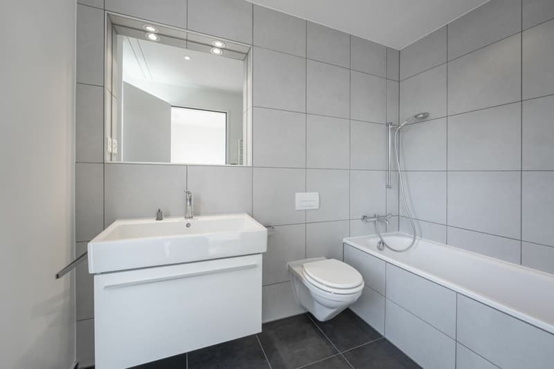Attikawohnung mit 120 m² Terrasse und unverbautem Blick auf Wald und Weite (8)
