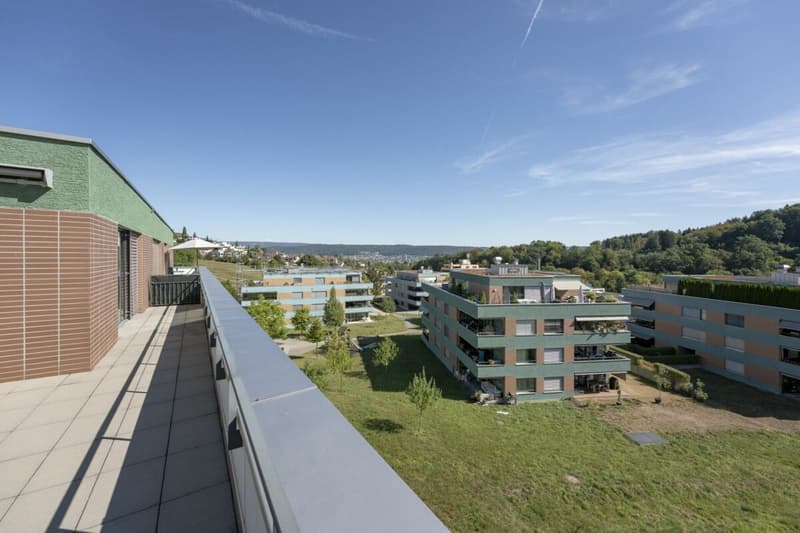 Attikawohnung mit 120 m² Terrasse und unverbautem Blick auf Wald und Weite (10)