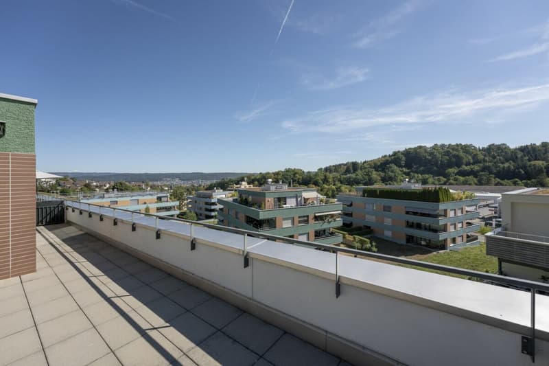 Attikawohnung mit 120 m² Terrasse und unverbautem Blick auf Wald und Weite (9)
