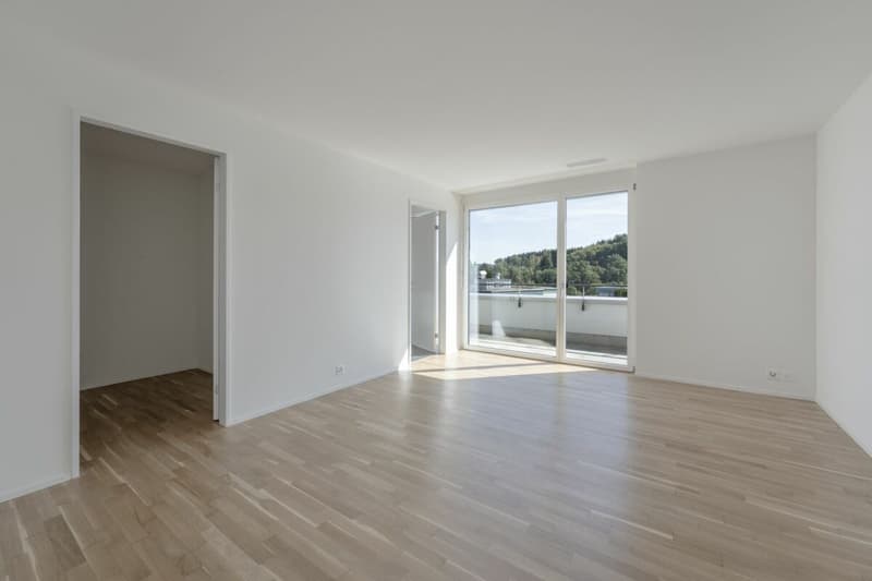 Attikawohnung mit 120 m² Terrasse und unverbautem Blick auf Wald und Weite (5)
